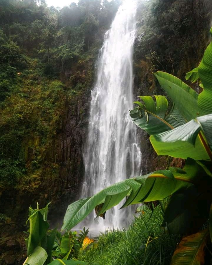 Marangu Waterfalls | Cultural  Day Trip