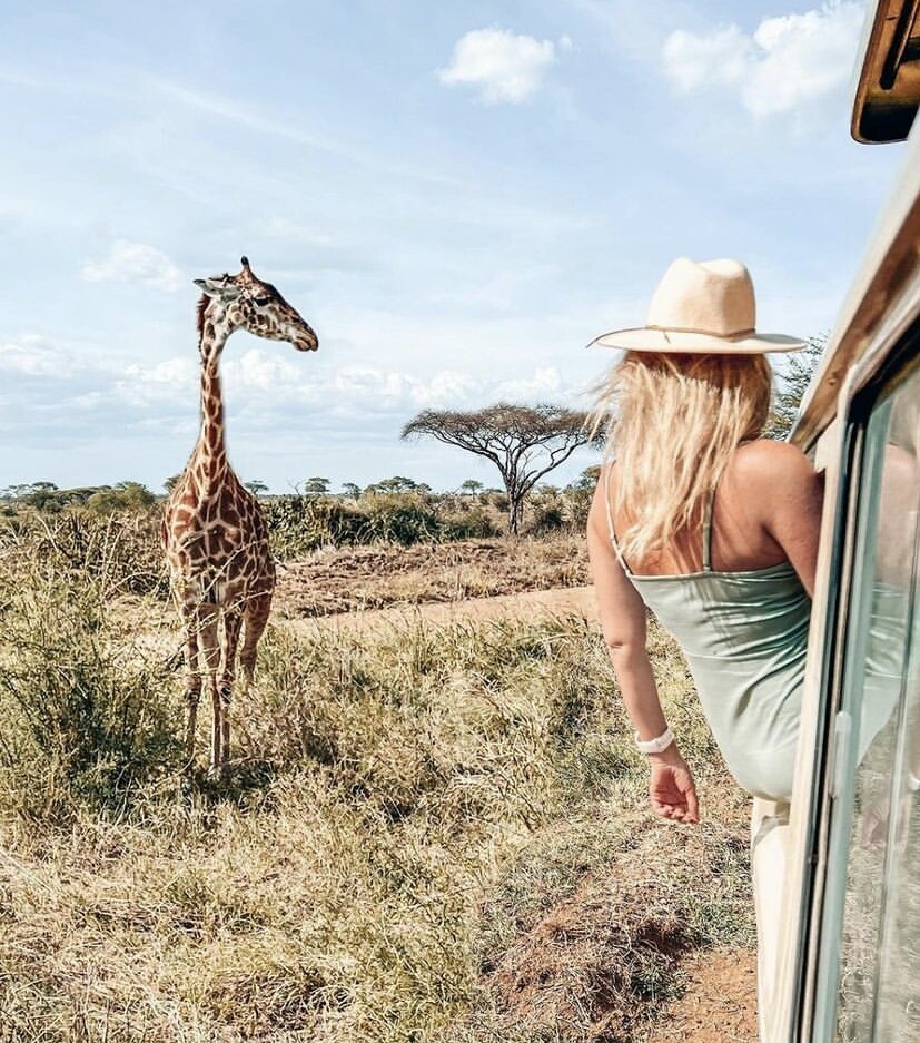 Mikumi National Park Wildlife Safari