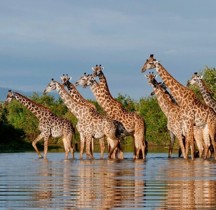 2-Day Lake Manyara and Arusha National Park Safari