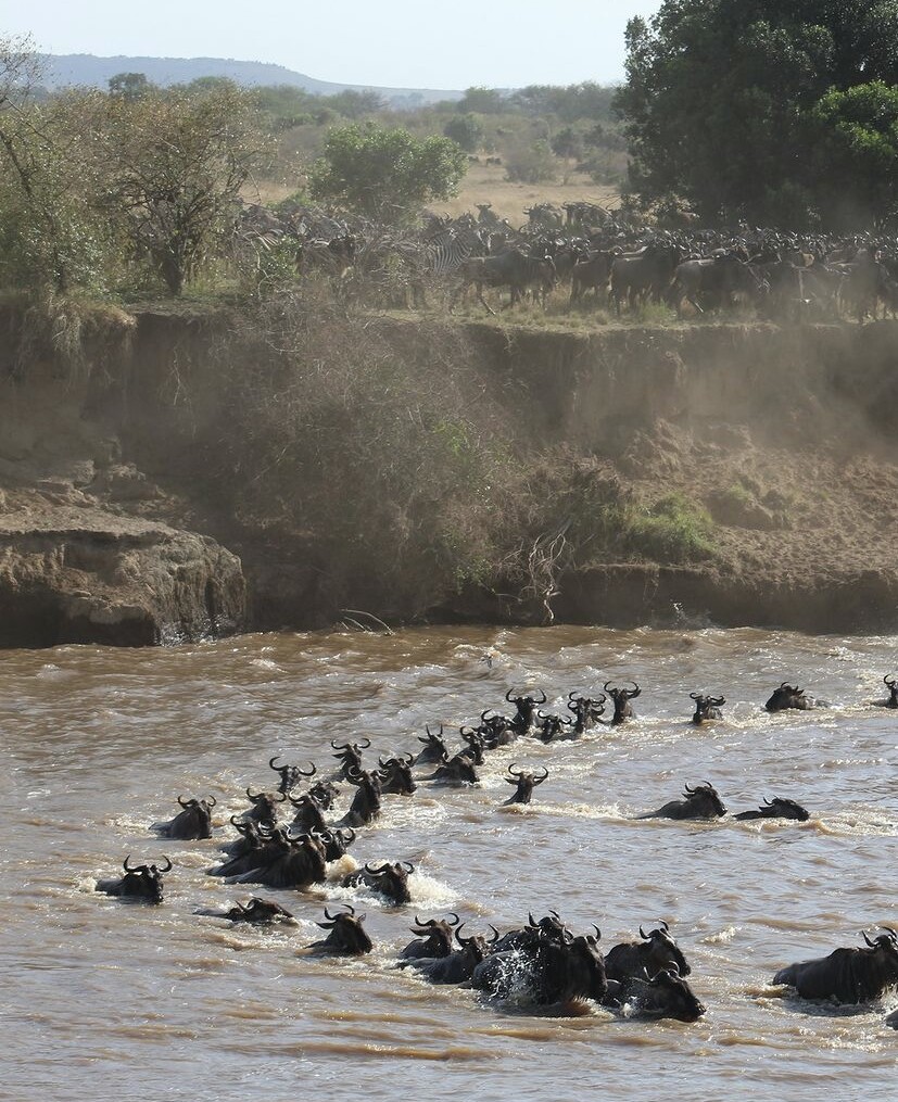 2-Day Serengeti & Ngorongoro Safari
