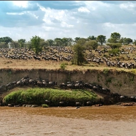 Unforgettable 4-Day Serengeti & Ngorongoro Wildlife Safari, Tanzania