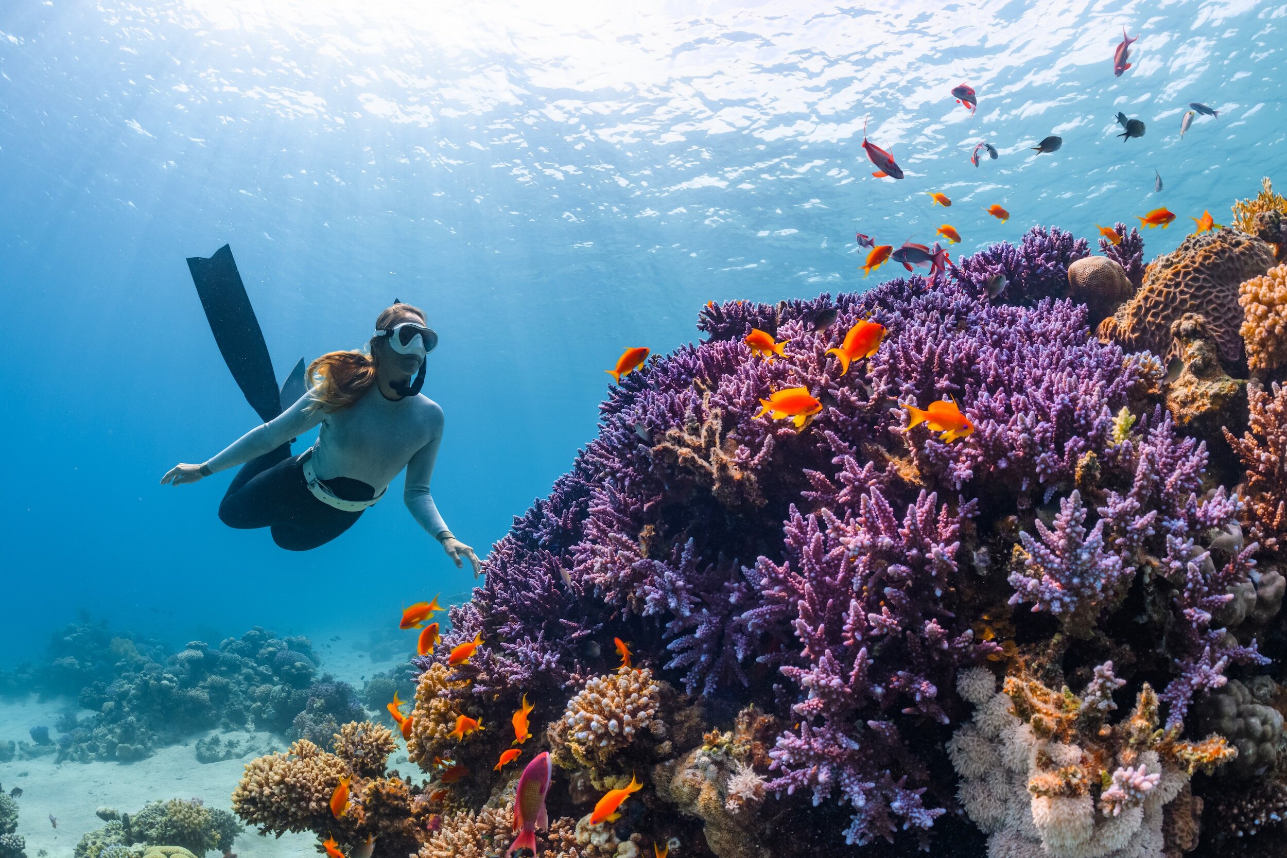 The 4-Day Zanzibar & Mafia Island Diving Expedition