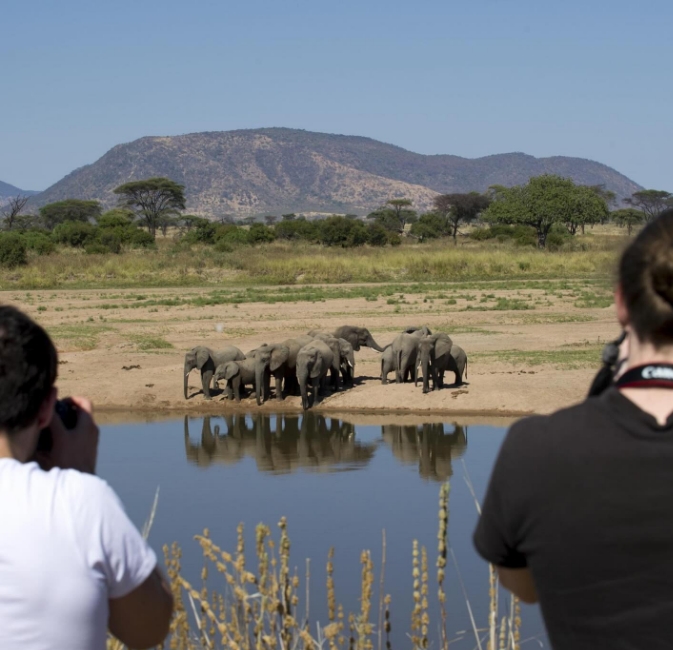 5-Day SLake Manyara, Serengeti and Ngorongoro Wildlife Journey