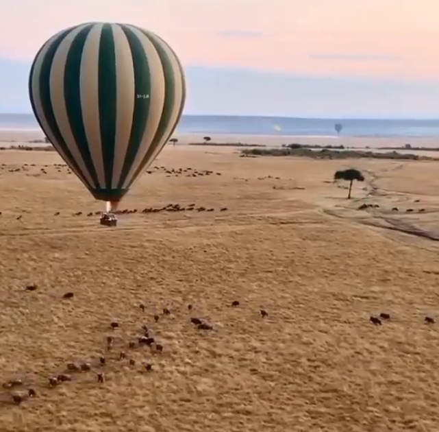 5-Day Tanzania Private Safari Tarangire, Ngorongoro & Serengeti