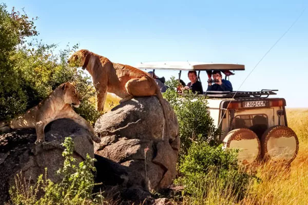 5 days Tanzania sharing safari tour