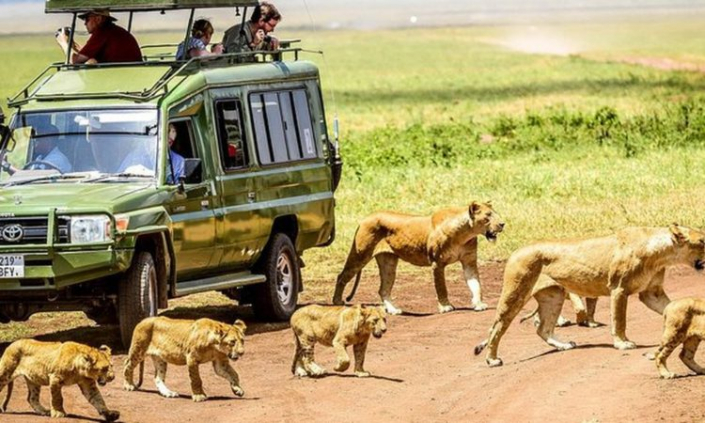 Explore Tanzania’s Top Parks on a 6-Day Mid-Range Safari