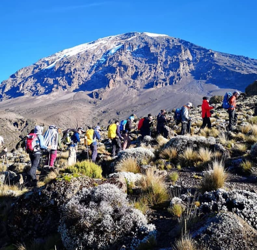 A streamlined trekking Marangu experiences with a group budget climb