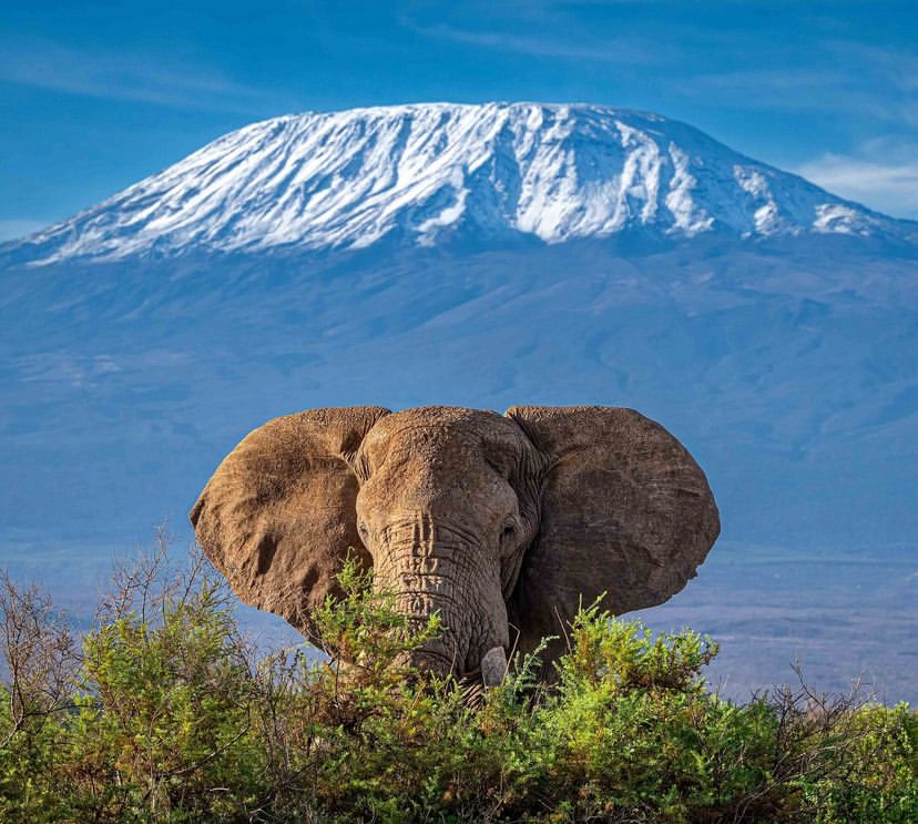 Adventure Beyond Kilimanjaro Climbing