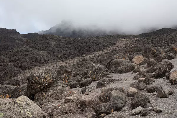 Lemosho Route Kilimanjaro Climbing Tours