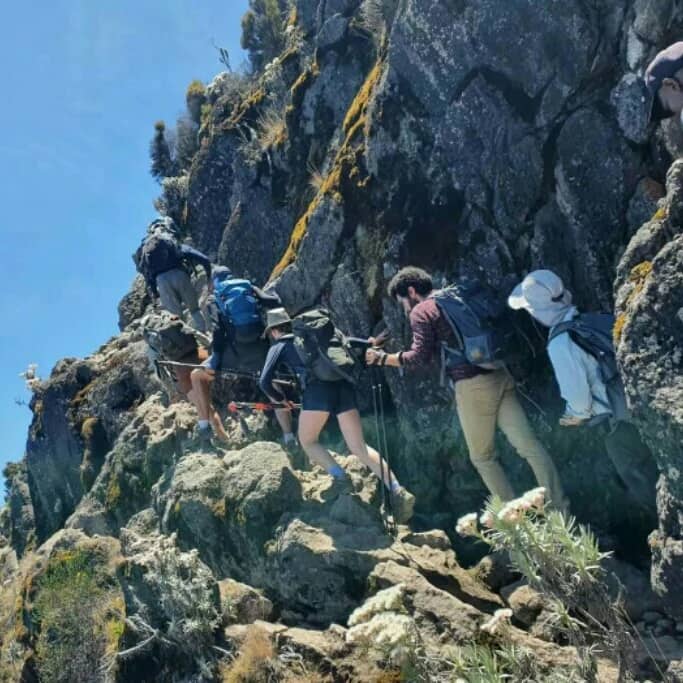 The Best Luxury Lemosho Route Kilimanjaro Climb Tour for 7 to 9-Day 2025/2026