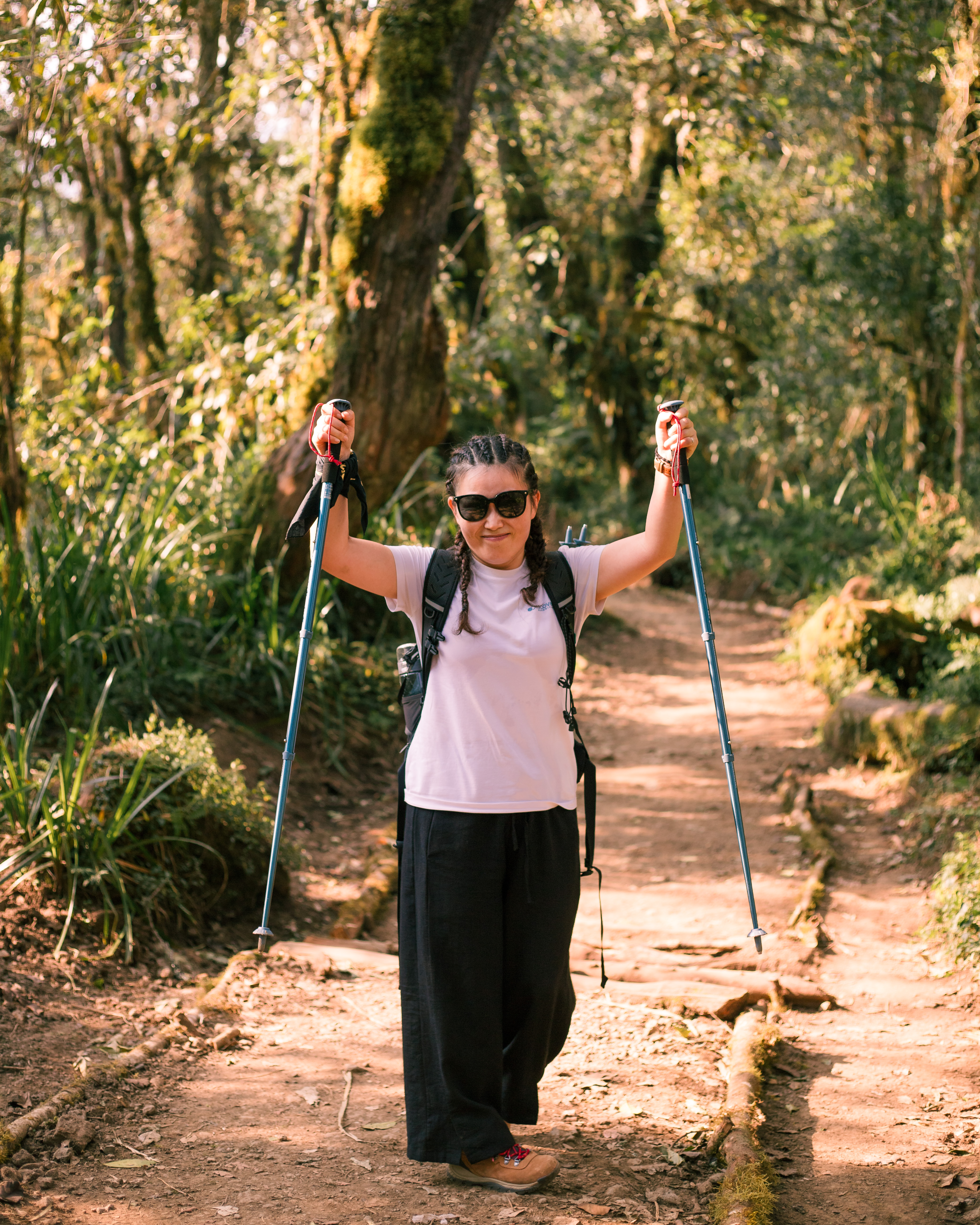 Machame Route Kilimanjaro Training for 7-Day 2025/2026 Preparation climb