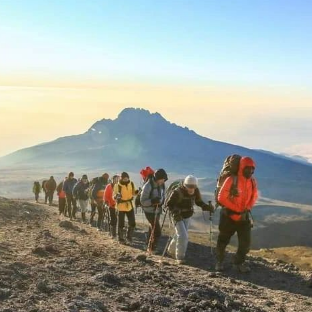 Rongai Route Kilimanjaro Climbing Tour