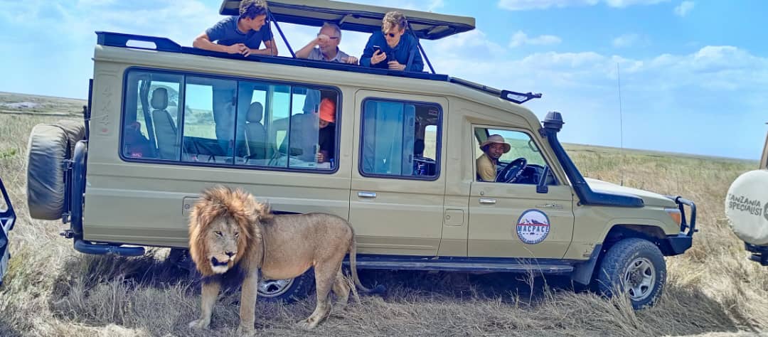 Tanzania Widlife Safari with Macpace Tours and Safaris