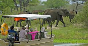 Selous Game Reserve Safari