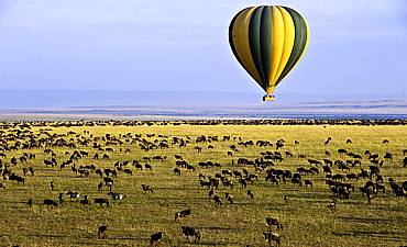 Serengeti National Park Wildlife Safari