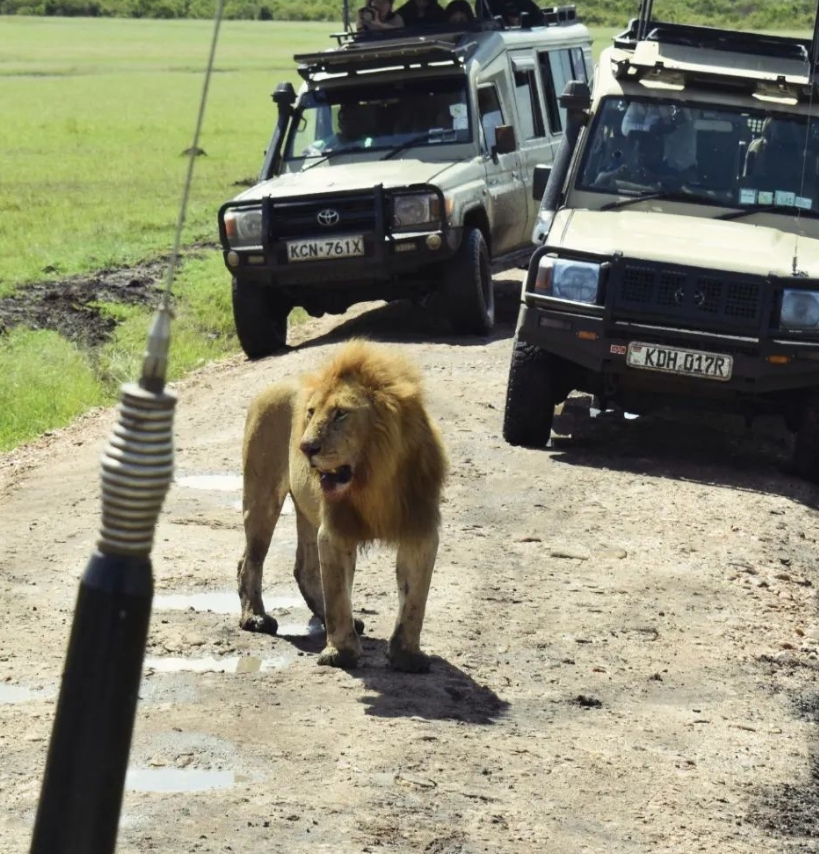 Private Tanzania safari, cost and itinerary