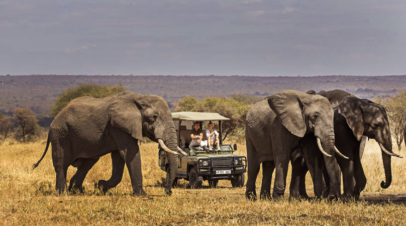 The Tarangire National Park Wildlife Safari