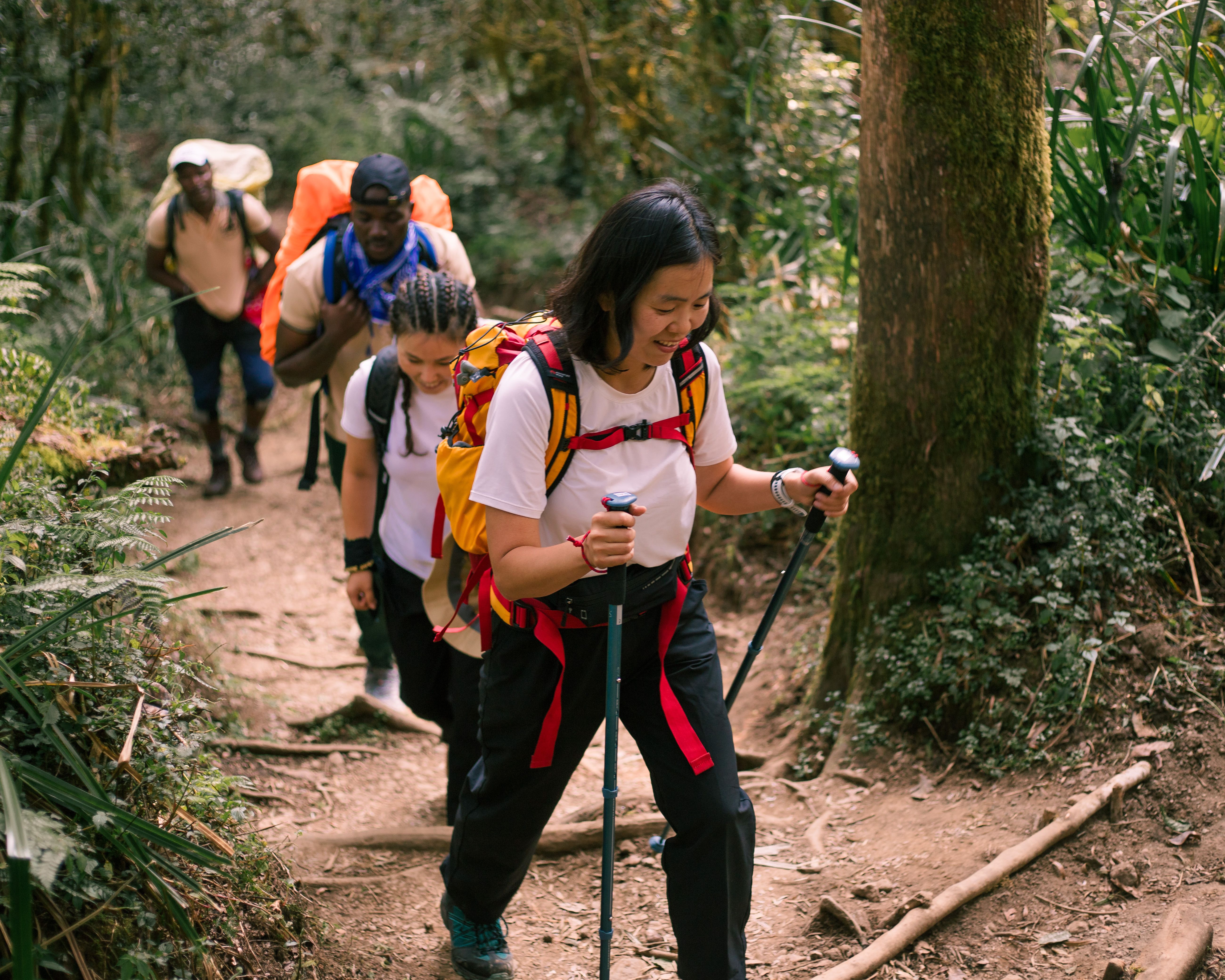 The best affordable Kilimanjaro Machame Route climbs